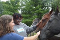 2023-4SF-Girls-Horses